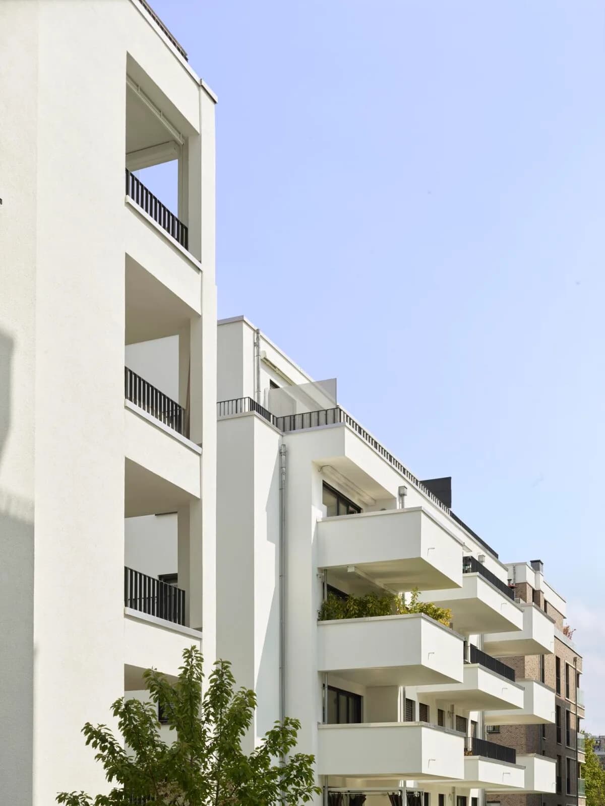 Das Rosenberg – Fassaden Falkertstraße