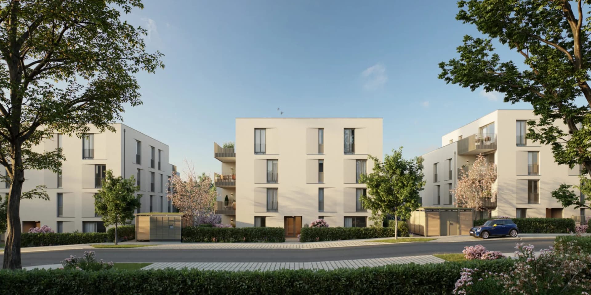 Selma | Straße