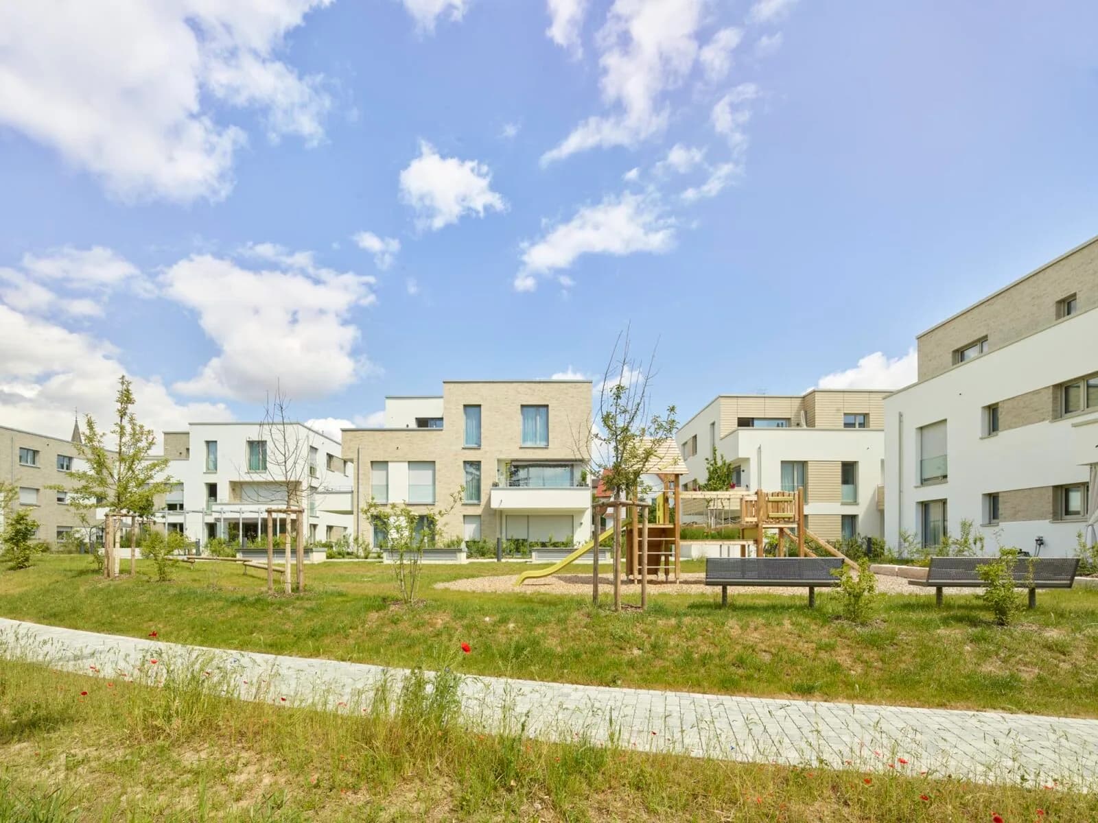 Urban verwurzelt, grün gedacht