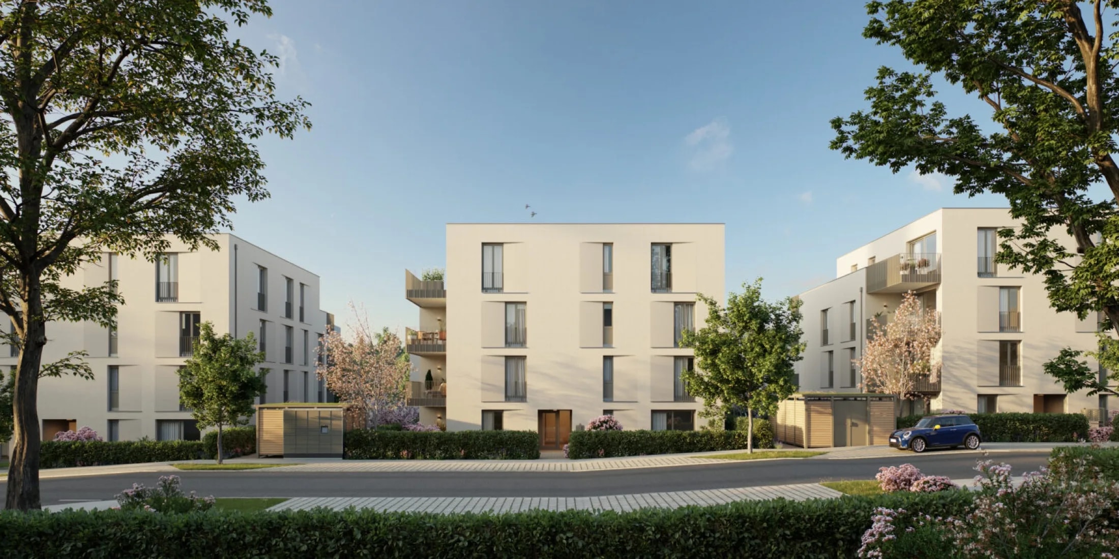Selma | Straße