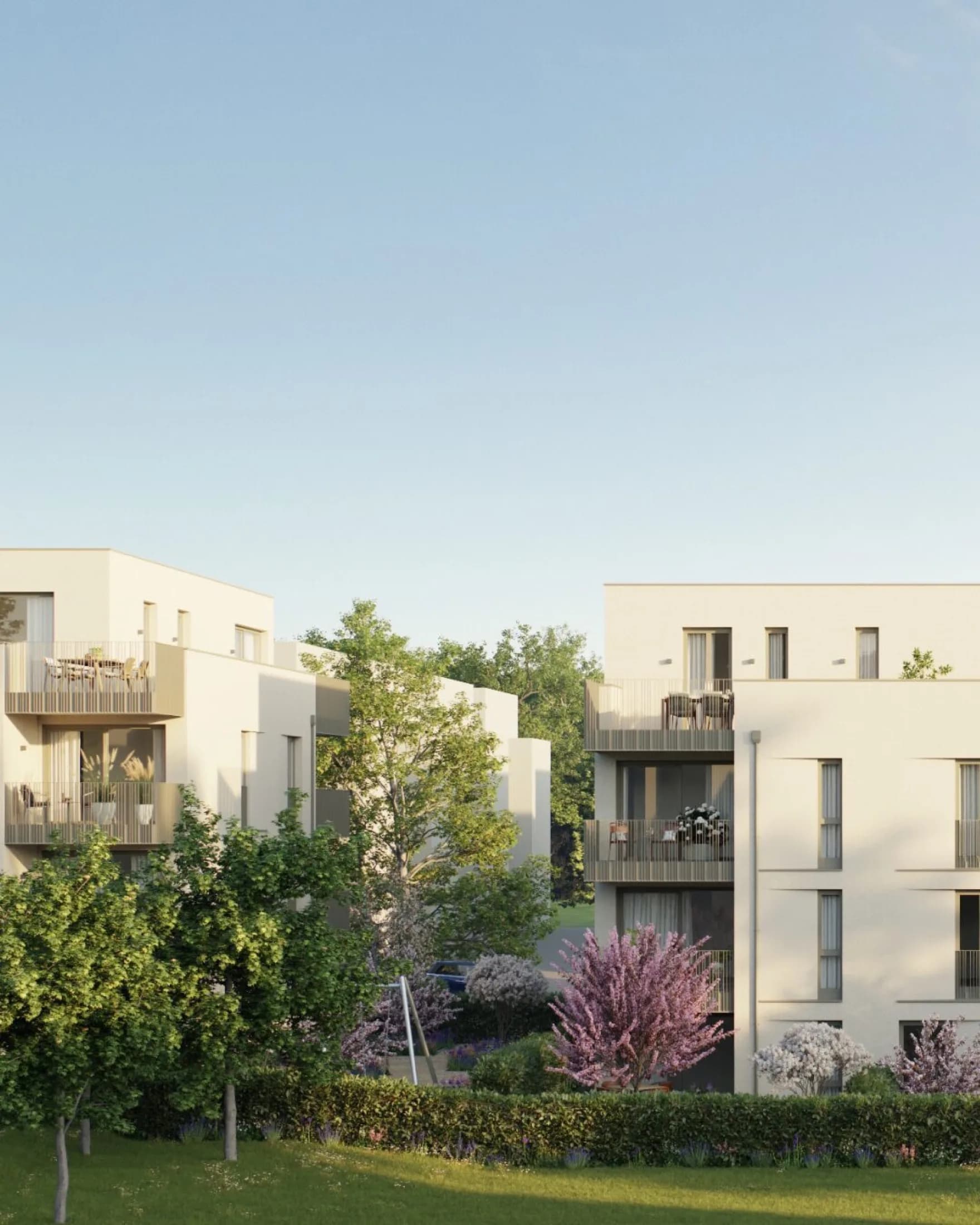 Selma | Straße