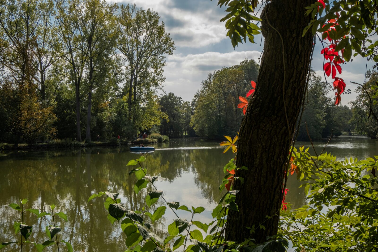Karle | 06 Natur Tamm - 