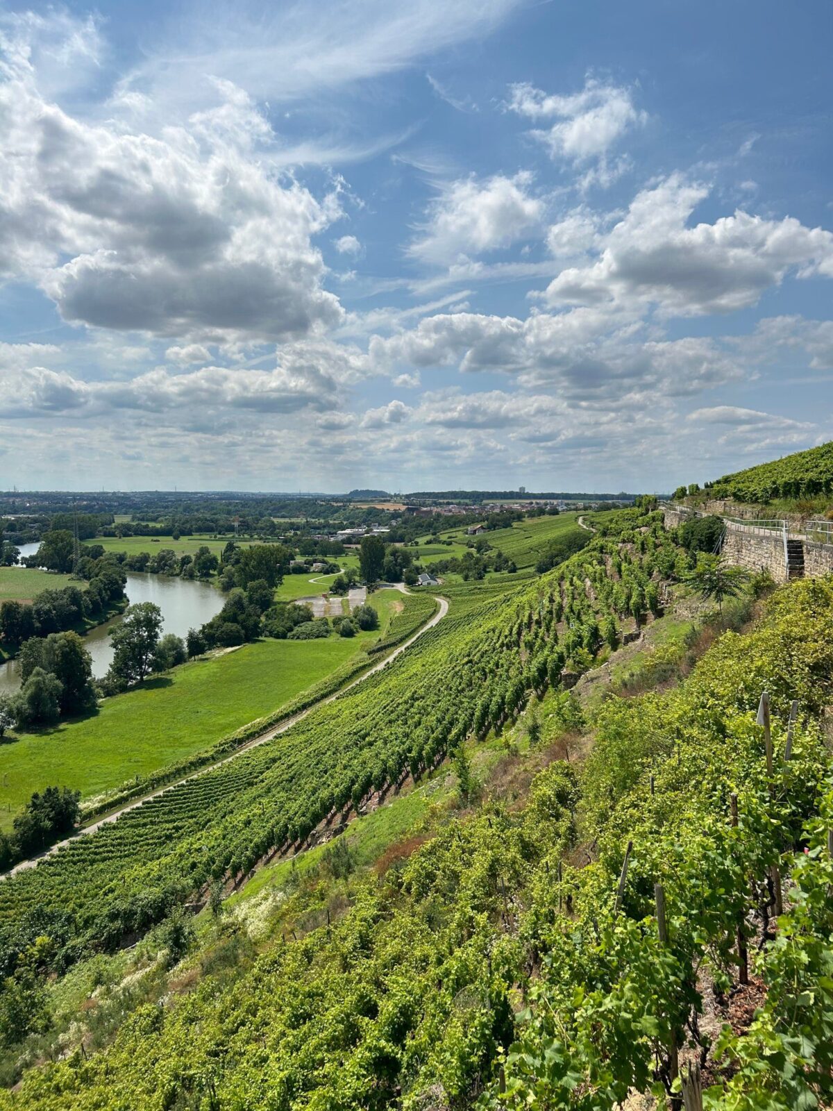 Karle | pflugfelder_ingersheim_Umgebung - 