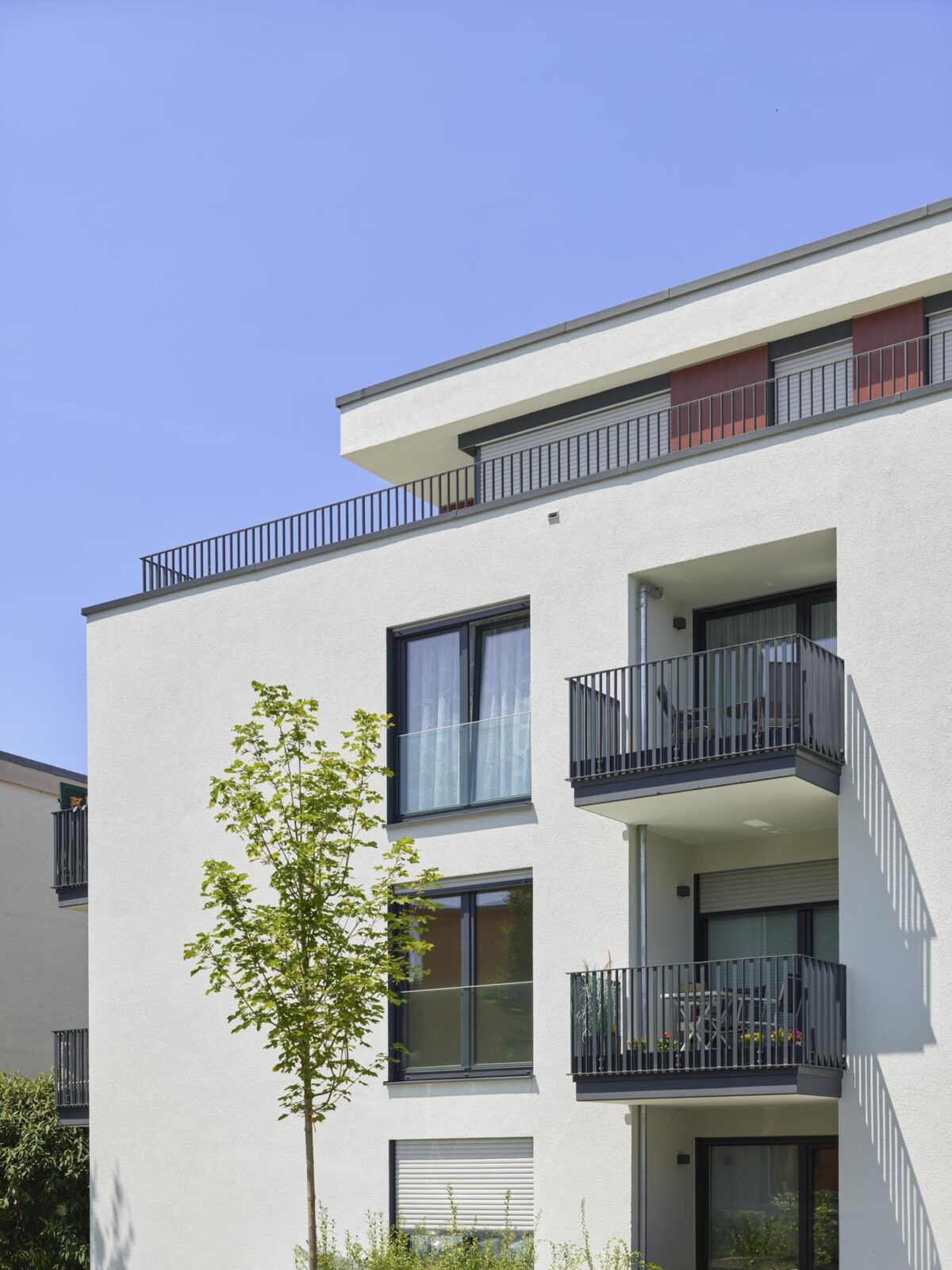 IB-Bildungszentrum | Fassade - 