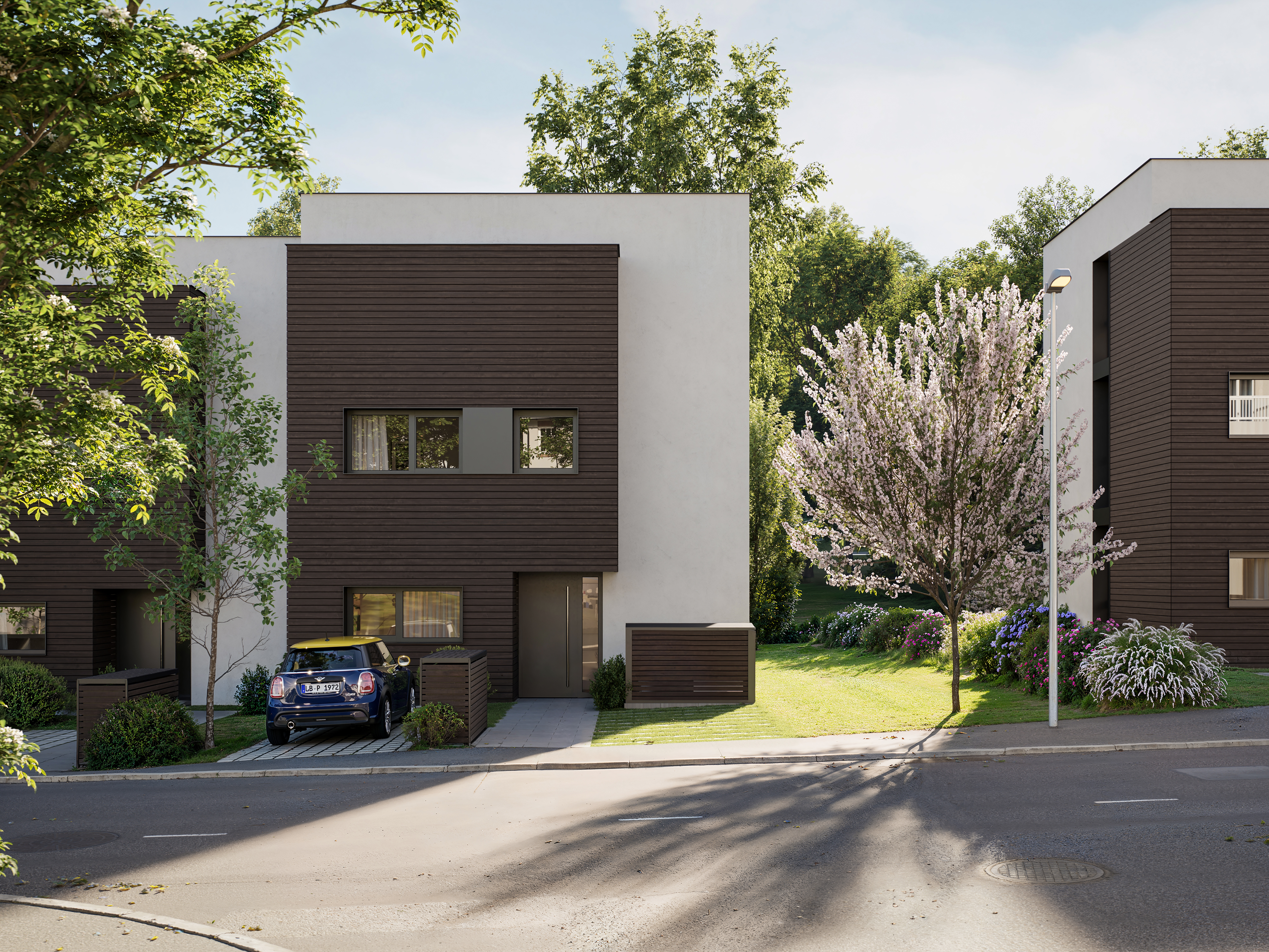 Fine Woods | 01 Strasse_003 (1) - Fine Woods | 01 Strasse_003 (1) -